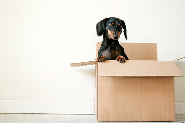 The Many Benefits Of Hiring A Residential Moving And Storage Company