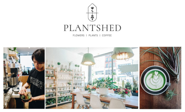 Making Every Home Beautiful Via PlantShed